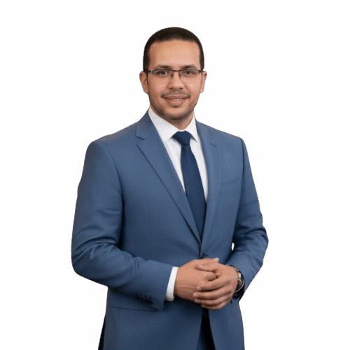 Hamza Abdelmughees